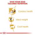 ROYAL CANIN CAVALIER KING CHARLES 1.5K XIRA TROFI SKuLOu